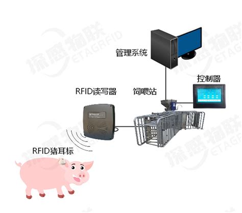 神农母猪自动化饲喂设备-化工机械设备网
