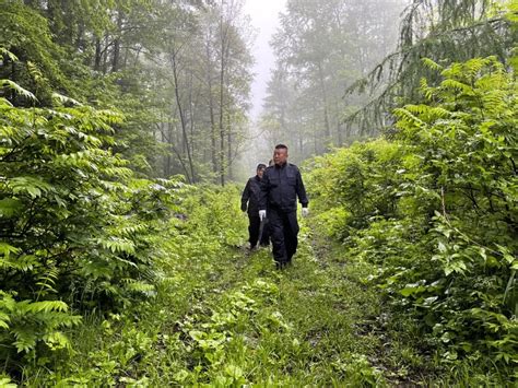 历时14小时！八家子森林警方成功搜救一名进山走失人员
