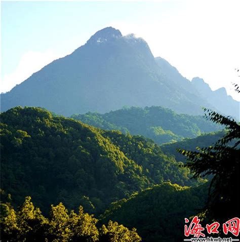 斯科拉特 的图像结果