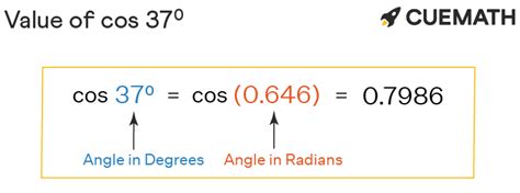 Cos 37 Degrees - Find Value of Cos 37 Degrees | Cos 37°