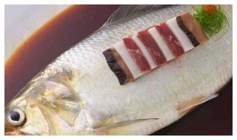 清蒸鲥鱼：一道刺多还不去鳞的菜|珠江|鲥鱼|长江_新浪新闻