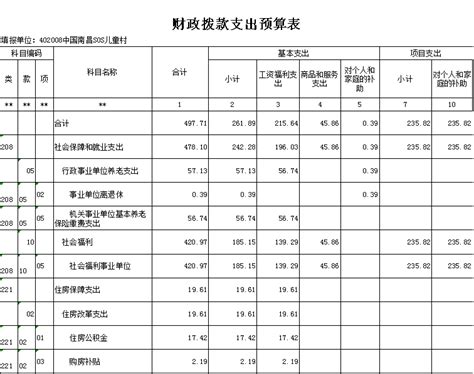 中国南昌SOS儿童村2021年单位预算编制说明 | 南昌市民政局