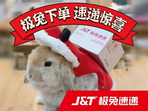 鹤盛村民把“小”兔子做成“大”产业 - 永嘉网
