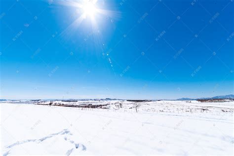 阳光下雪地美景摄影图高清摄影大图-千库网