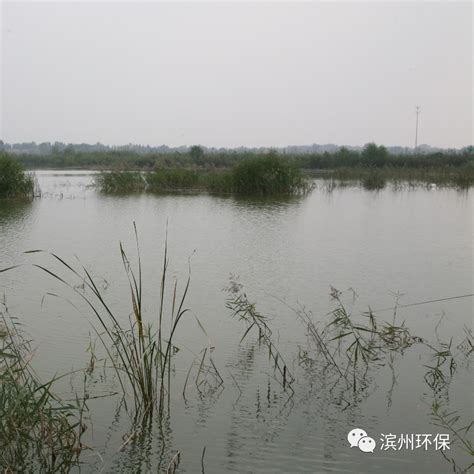 滨州市扎实推进渤海区域环境综合治理和自然保护区问题整治攻坚战-国际环保在线
