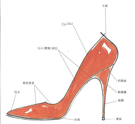 女鞋结构_图片_互动百科