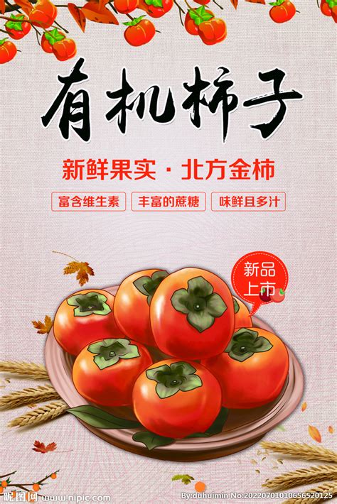 陕西富平：柿子丰收-人民图片网
