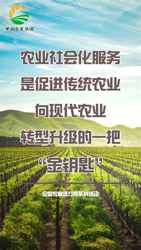 阳信县中润农发集团