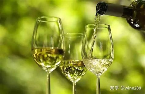 Belong起泡果酒（葡萄味）_上海彼浪品牌管理有限公司_Wow Food Awards-创新食品评鉴大赛