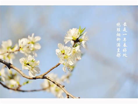 【江苏教育发布】今日春分，最是一年春好处，不负韶光，不负人生-淮阴师范学院