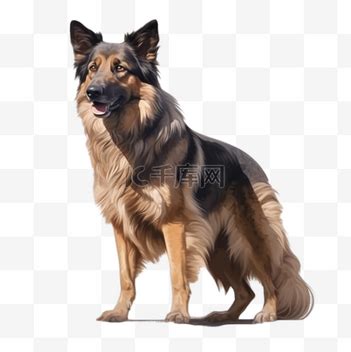 狼狗素材温柔头像女生
