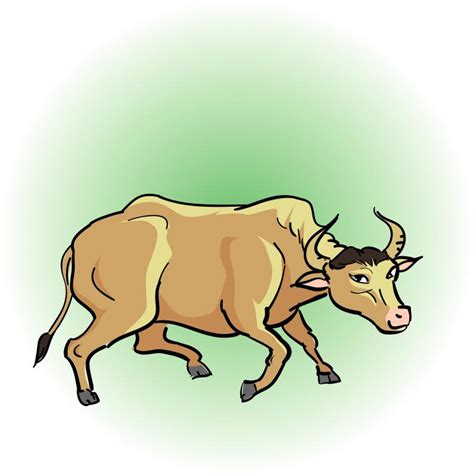 属牛的今年到底多大岁数(解密牛年生肖年龄计算方法) - 星辰运势