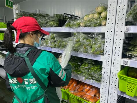 西安高新区的送菜公司 西安幼儿园蔬菜配送 - 八方资源网
