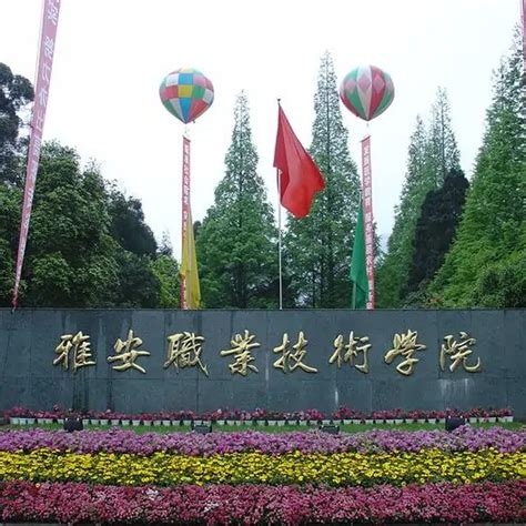 在四川雅安也有一个国家级的大熊猫公园噢……|大熊猫|雅安市|四川省_新浪新闻
