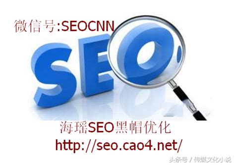 seo新站优化方案（网站关键词排名如何提升）-8848SEO