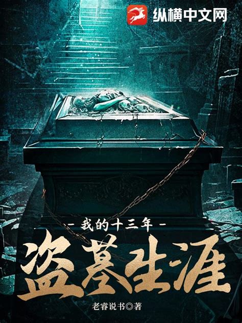 我的十三年盗墓生涯(老睿说书)最新章节全本在线阅读-纵横中文网官方正版