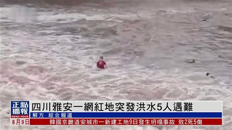 路人折树合力救被水流冲走的男孩_凤凰网视频_凤凰网