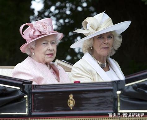 73岁卡米拉不懂礼节！给荷兰王后行屈膝礼，英女王当场就脸黑了