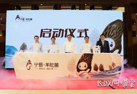 “宁晋羊肚菌”成为河北省区域公用品牌_品牌战略网