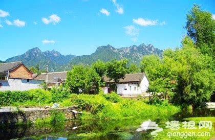 在希望的田野上 仙居台湾农民创业园唱响绿色变奏曲-台州频道