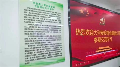 热烈庆祝黑龙江伊春森工集团17个林业局有限责任公司全部挂牌
