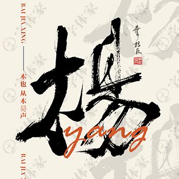 百家姓-杨-字图形设计|平面|字体/字形|一条绳俩蚂蚱 - 原创作品 - 站酷 (ZCOOL)