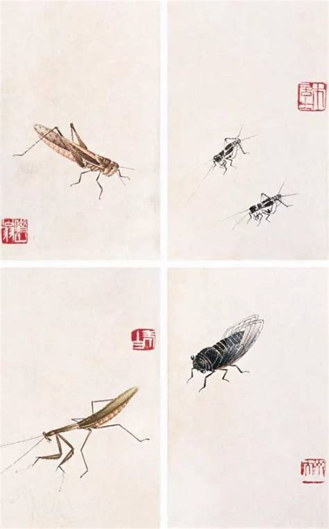 草虫图图片