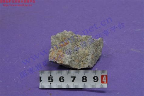 花岗闪长岩_Granite diorite_国家岩矿化石标本资源共享平台
