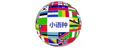 外贸网站小语种优化的优势与必要性，含翻译工具！ - 知乎