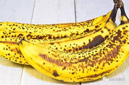 香蕉种植3大难题！个个最可以致命_危害