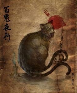 猫猴子图片