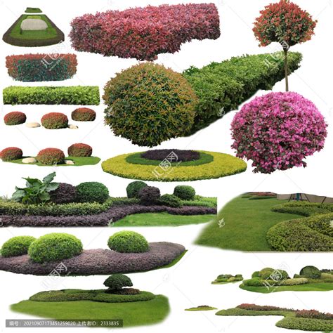 灌木素材,景观设计,模型设计/效果图,设计模板,汇图网www.huitu.com