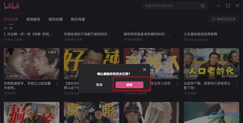 哔哩哔哩怎么清空历史记录？-电脑版哔哩哔哩清空历史记录的方法 - 极光下载站