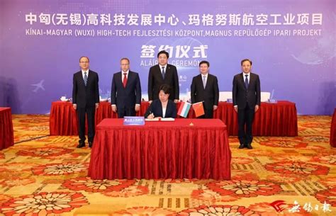 后援魔投手马格努姆图片
