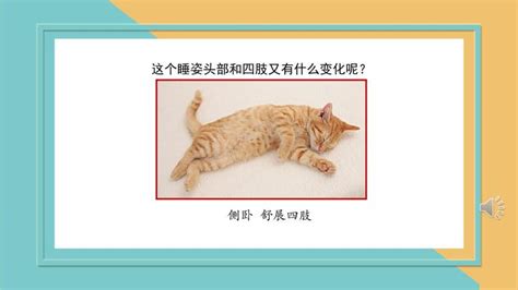 二年级看图写话小花猫和小白兔抢绳子Word模板下载_编号qzpmznzb_熊猫办公