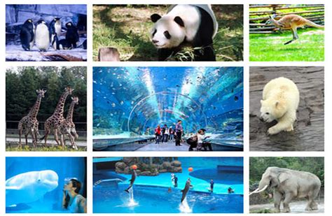南昌新动物园门票价格+优惠政策+开放时间_旅泊网