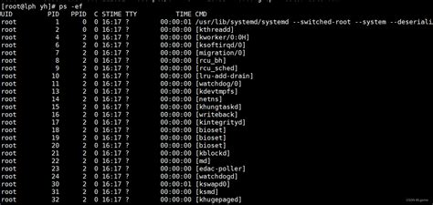 Linux高级指令列举_linux高级命令_门牙会稍息的博客-CSDN博客