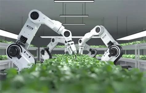 数字化转型浪潮中的农业机器人_智慧农业-农博士农先锋网