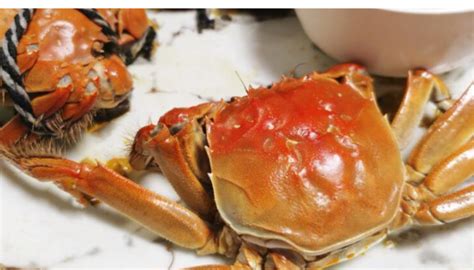 螃蟹怎么保存？煮熟后螃蟹的保存方法_360新知