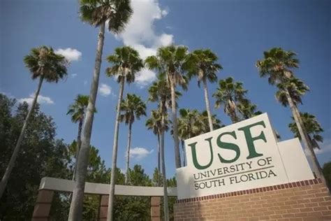 佛罗里达大学】 | 佛罗里达大学学费_录取条件 University of Florida|神州学人