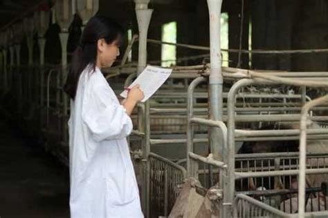 养猪的职业叫什么（养猪 职业）-云南省种畜推广中心