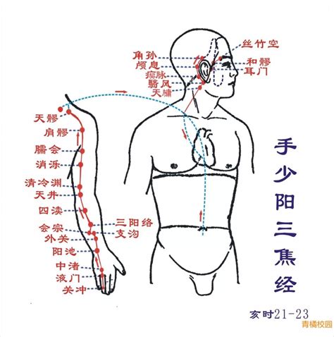 心经的准确位置图图片 心经的准确位置图图片
