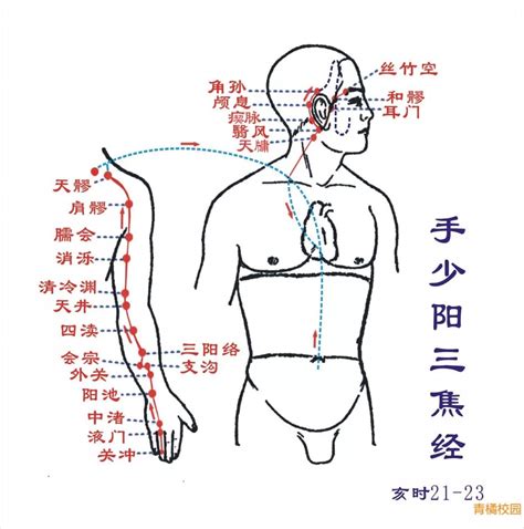 【针灸】肾经、心包经、三焦经经经络循行图！收图！