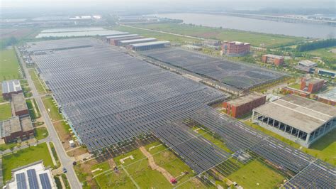 长江日报：北湖污水处理厂里有个光伏发电站