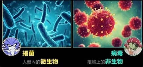 一图读懂是细菌感染还是病毒感染_健康频道_新闻中心_长江网_cjn.cn