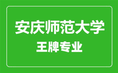 安庆职业技术学院：举办会计专业1+x智能财税技能认证考试