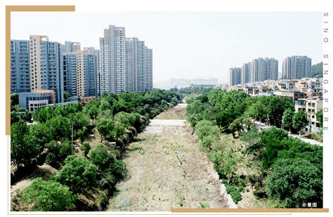 东城河道环境提升 季节性河变四季长流水|韩仓河|长流水|景观_新浪新闻