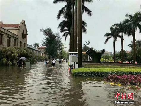 厦门遭暴雨袭击 厦大校园被淹-中国侨网