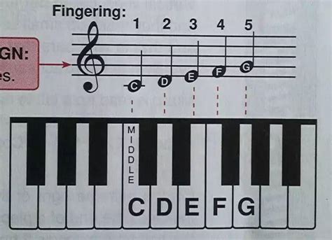 钢琴入门-钢琴曲自学教程零基础,钢琴五线谱快速记忆法教程 - 知乎