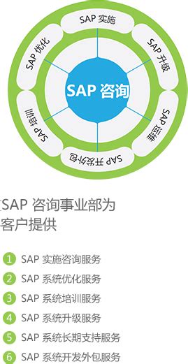 九翊软件-SAP集成专家